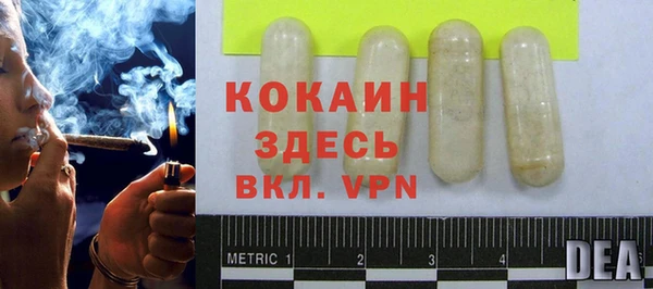 крисы Богородицк