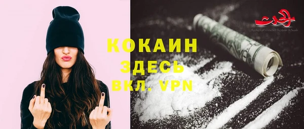 крисы Богородицк
