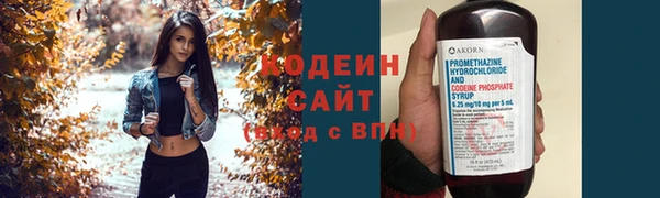 крисы Богородицк