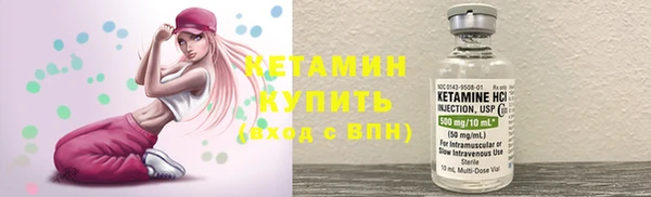 крисы Богородицк
