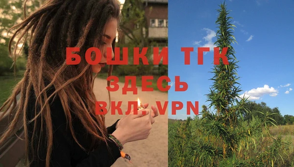 сатива Богородск