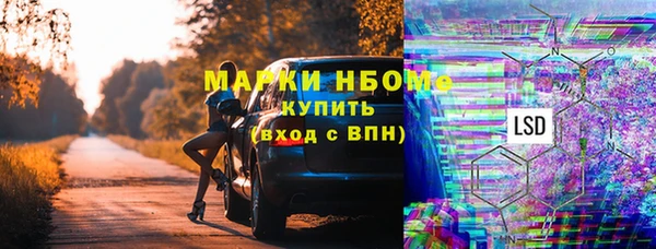 крисы Богородицк