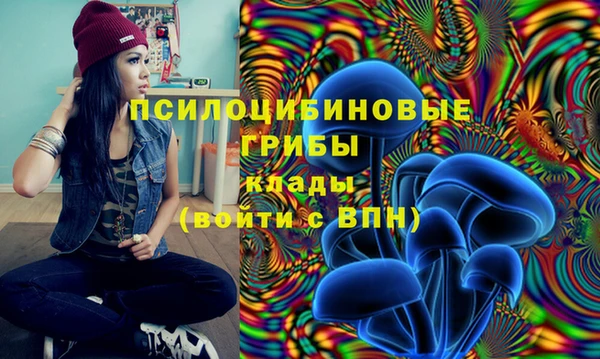 МДПВ Богданович