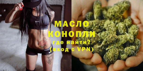 крисы Богородицк
