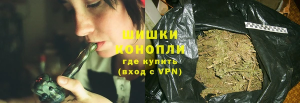 сатива Богородск