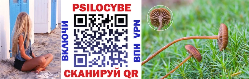 Галлюциногенные грибы Psilocybe  Белебей 